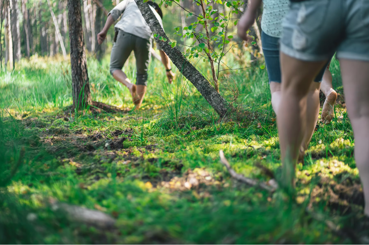 Pažintinė ekskursija po šilų Dzūkiją su vaišėmis gamtoje