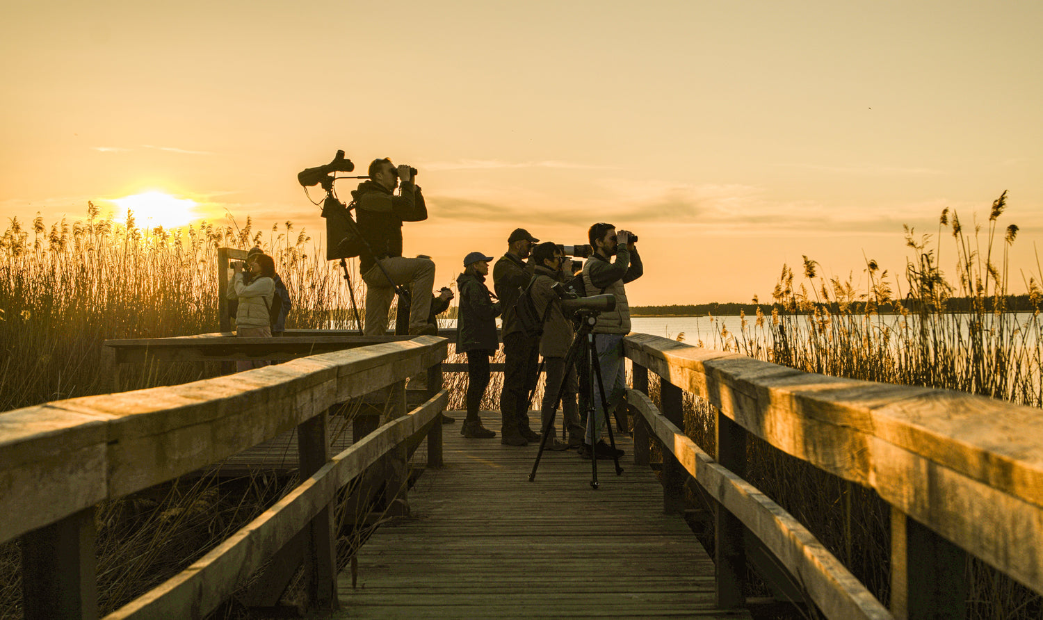 EDUKACINĖS PATIRTYS