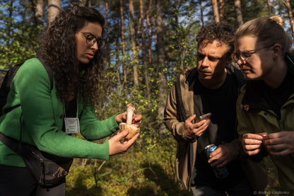 Edukacija miške: pažink grybų pasaulį