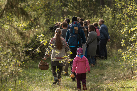 Edukacija miške: pažink grybų pasaulį