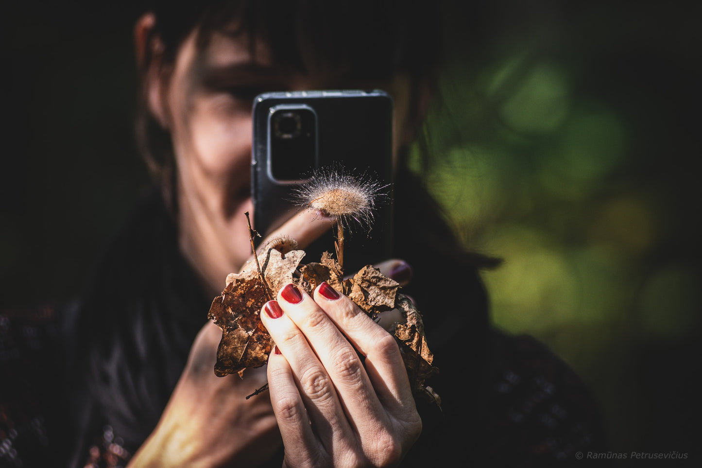 Edukacija miške: pažink grybų pasaulį