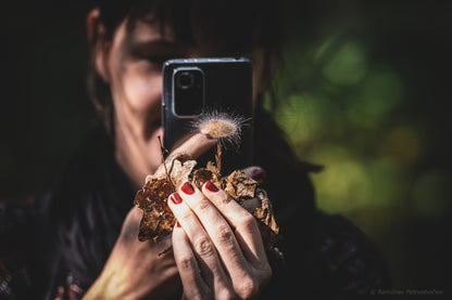 Edukacija miške: pažink grybų pasaulį