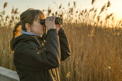Ornitostogos: pažintinis paukščių stebėjimo turas