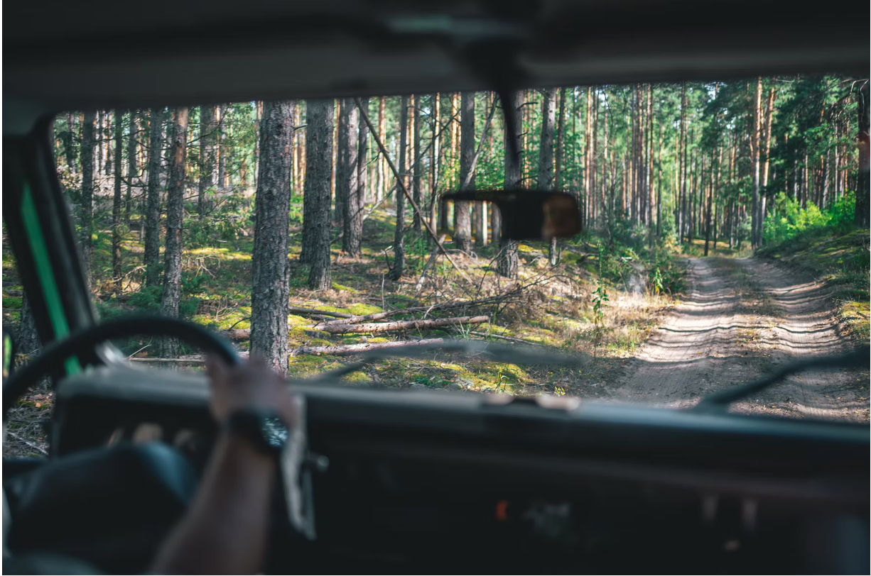 Pažintinė ekskursija po šilų Dzūkiją su vaišėmis gamtoje