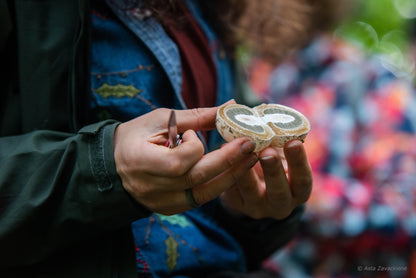 Edukacija miške: pažink grybų pasaulį